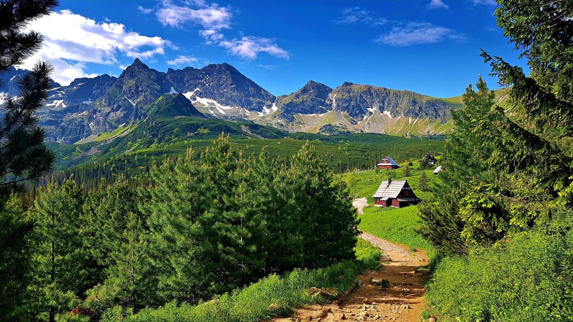 Отель Osrodek Wypoczynkowy Tatrzanska Закопане Экстерьер фото